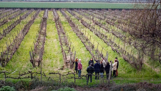 Experiencia ArteSano,                proximas fechas, sabado 10 y sabado 17 de Enero.