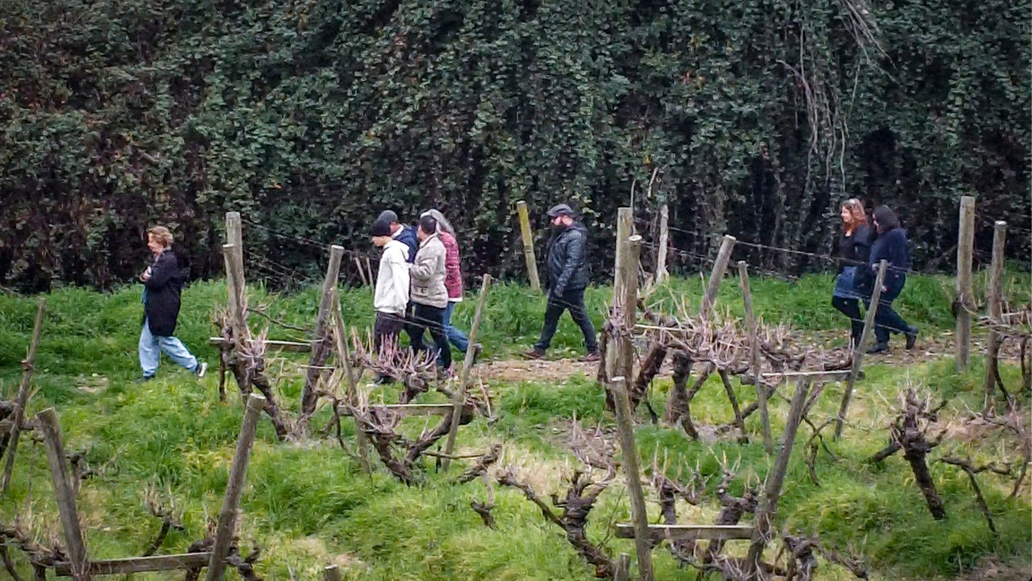 Experiencia ArteSano,                proximas fechas, sabado 10 y sabado 17 de Enero.